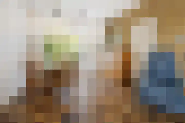 Oranje Nassaulaan 53 Overveen thumbnail 6