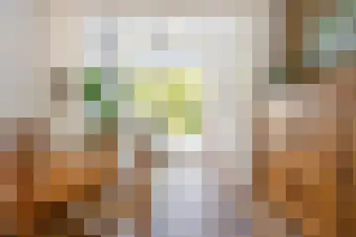 Oranje Nassaulaan 53 Overveen thumbnail 7