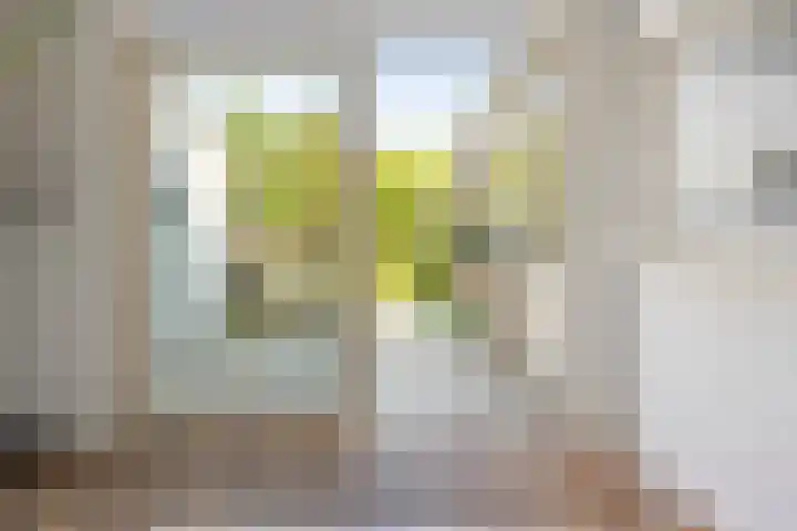 Oranje Nassaulaan 53 Overveen thumbnail 8