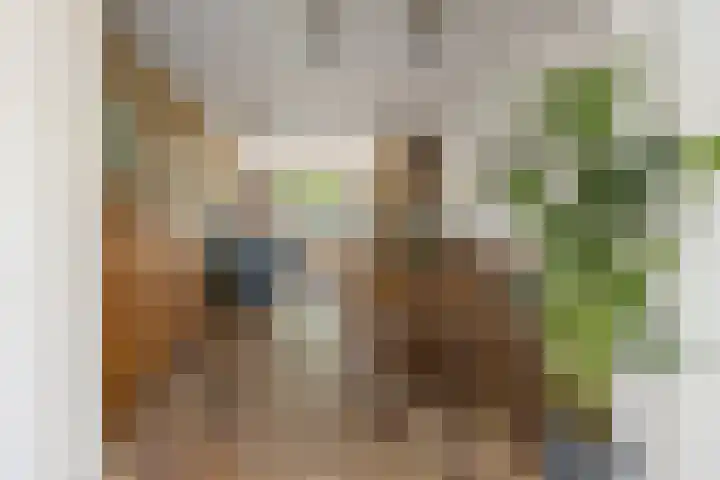Oranje Nassaulaan 53 Overveen thumbnail 9
