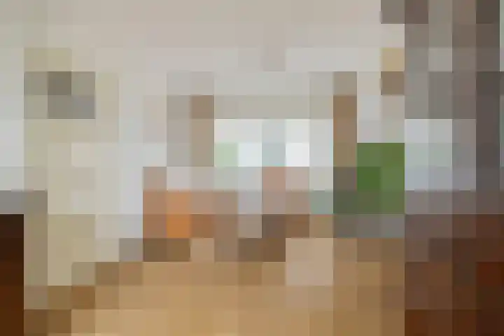 Oranje-Nassaulaan 55 Utrecht thumbnail 11