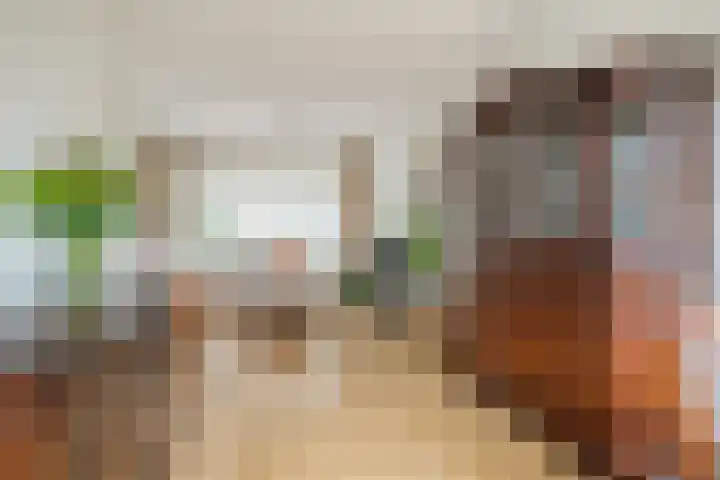 Oranje-Nassaulaan 55 Utrecht thumbnail 12