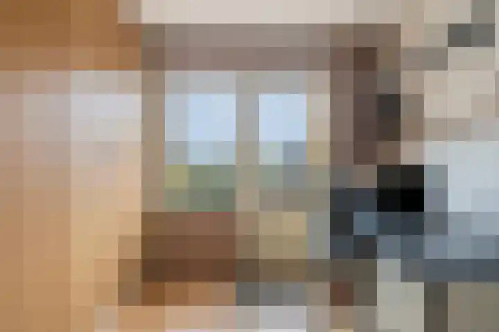 Oranje-Nassaulaan 55 Utrecht thumbnail 19