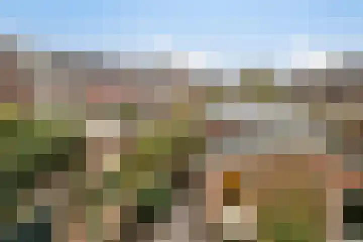 Oranje-Nassaulaan 55 Utrecht thumbnail 4