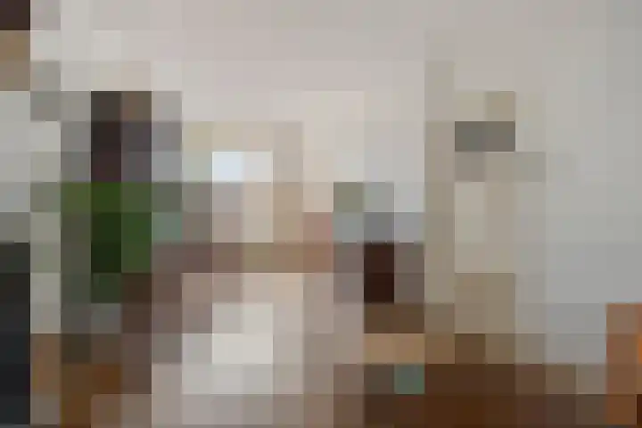 Oranje-Nassaulaan 55 Utrecht thumbnail 8
