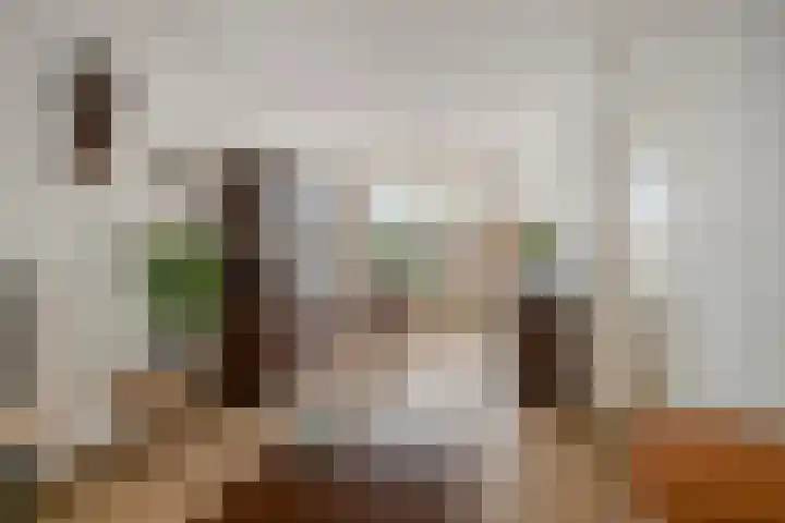 Oranje-Nassaulaan 55 Utrecht thumbnail 9