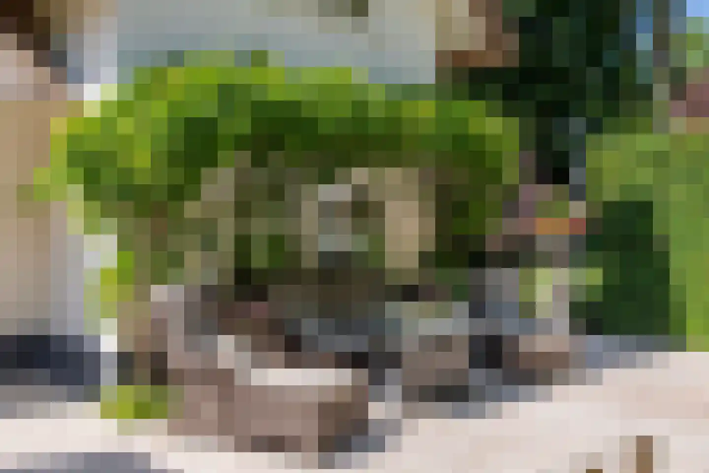 Oranje Nassaulaan 6 Blaricum thumbnail 12