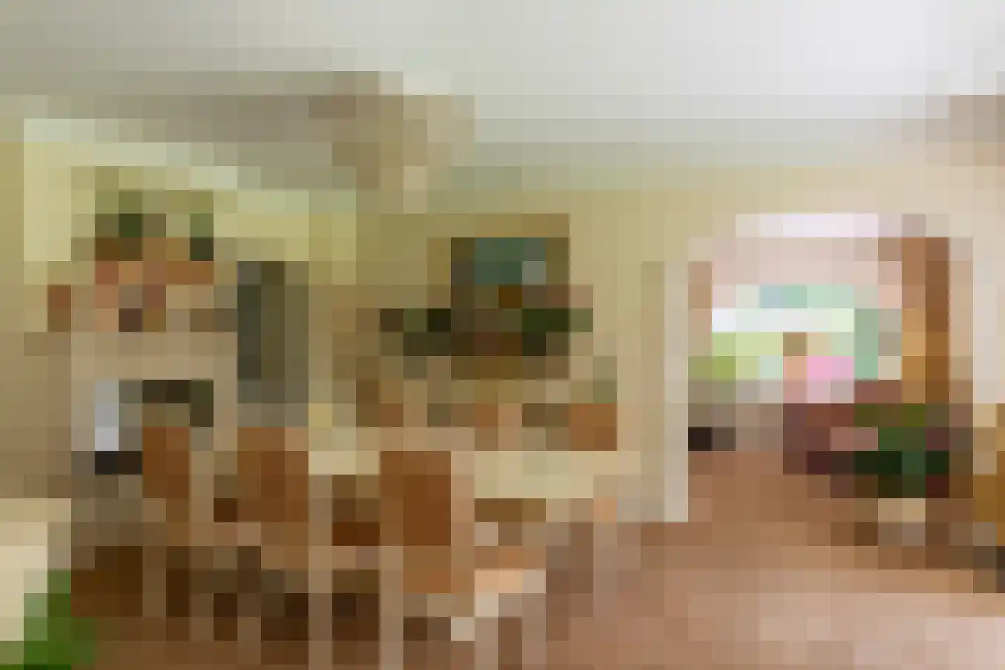 Oranje Nassaulaan 6 Blaricum thumbnail 19