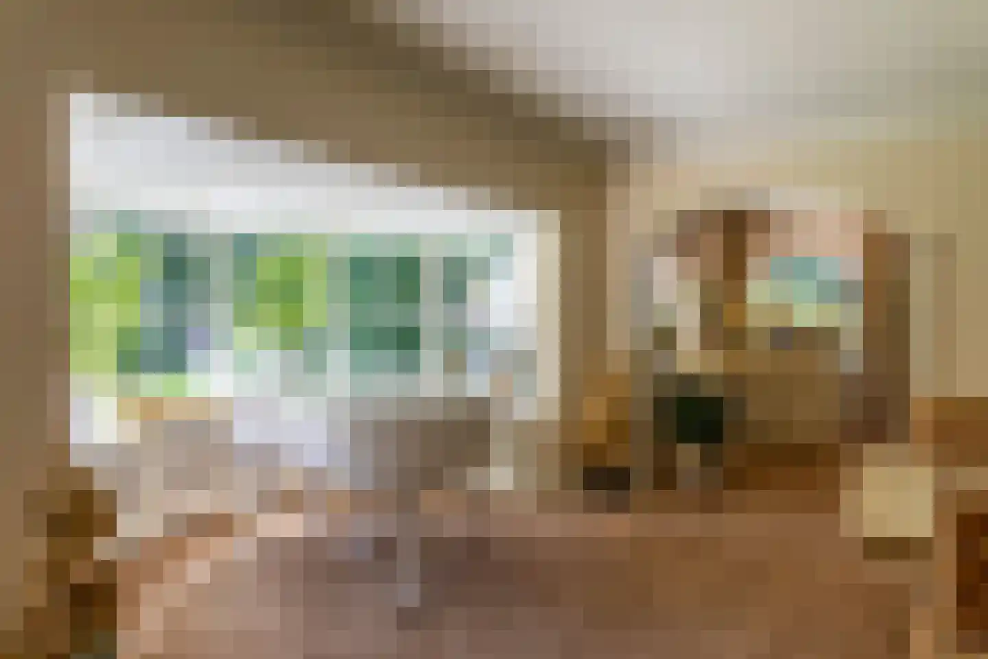 Oranje Nassaulaan 6 Blaricum thumbnail 21