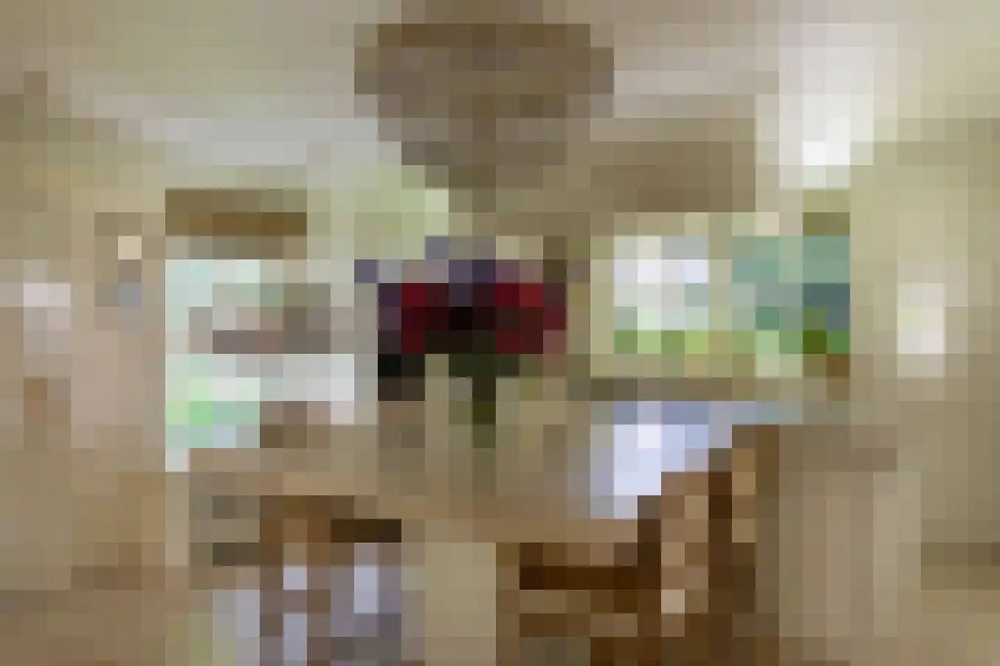 Oranje Nassaulaan 6 Blaricum thumbnail 23