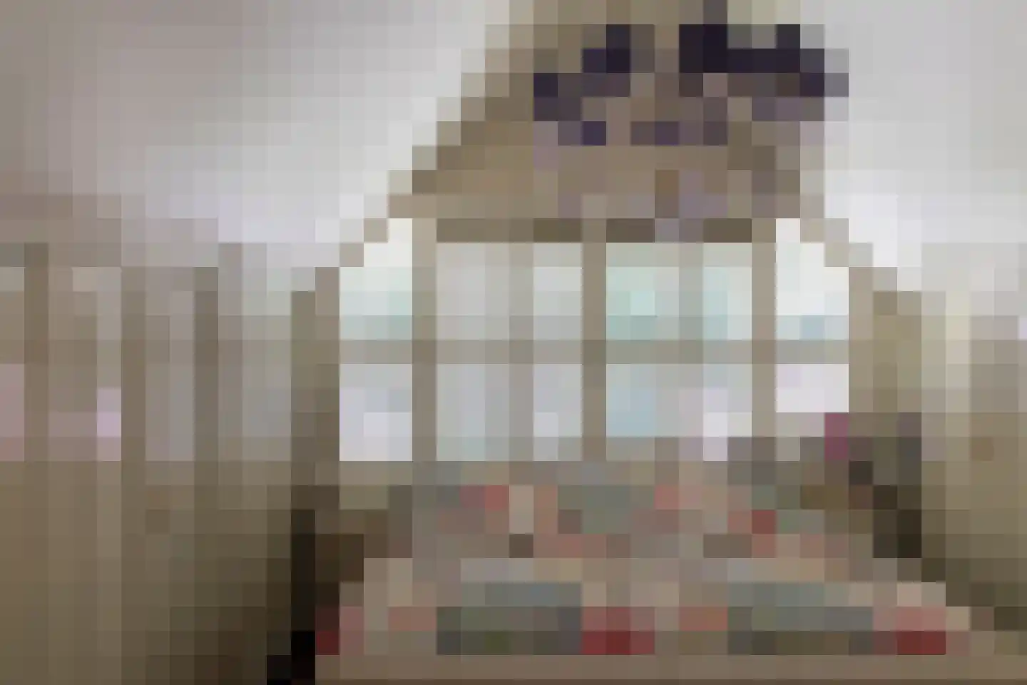Oranje Nassaulaan 6 Blaricum thumbnail 32