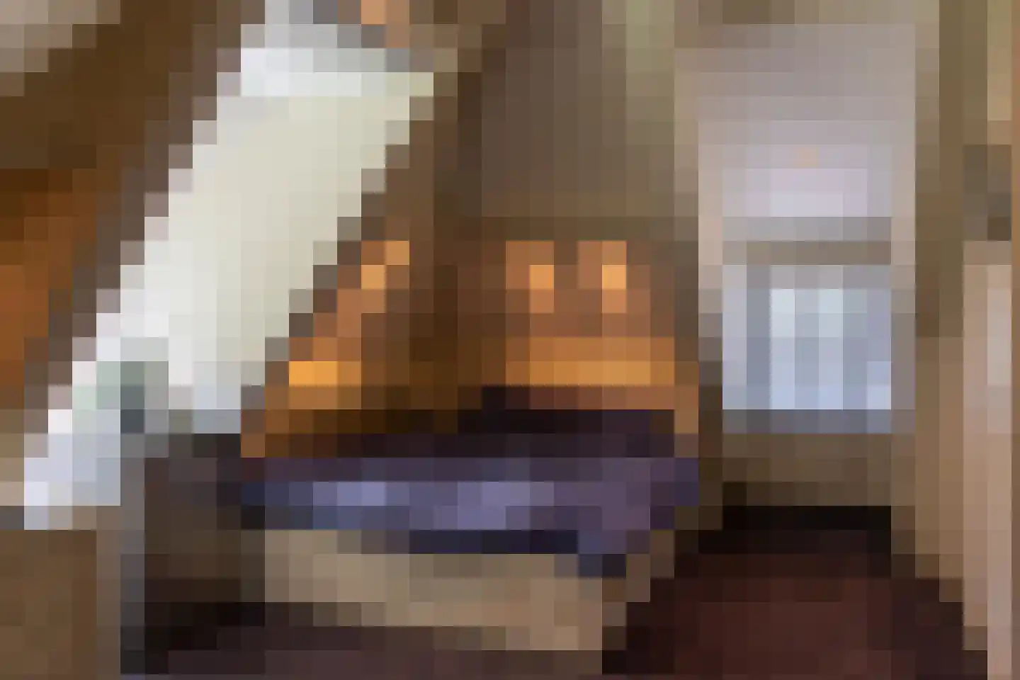 Oranje Nassaulaan 6 Blaricum thumbnail 35