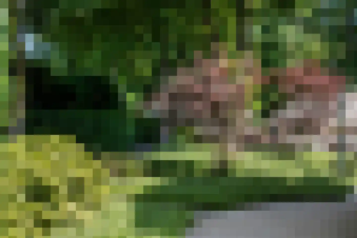 Oranje Nassaulaan 6 Blaricum thumbnail 38