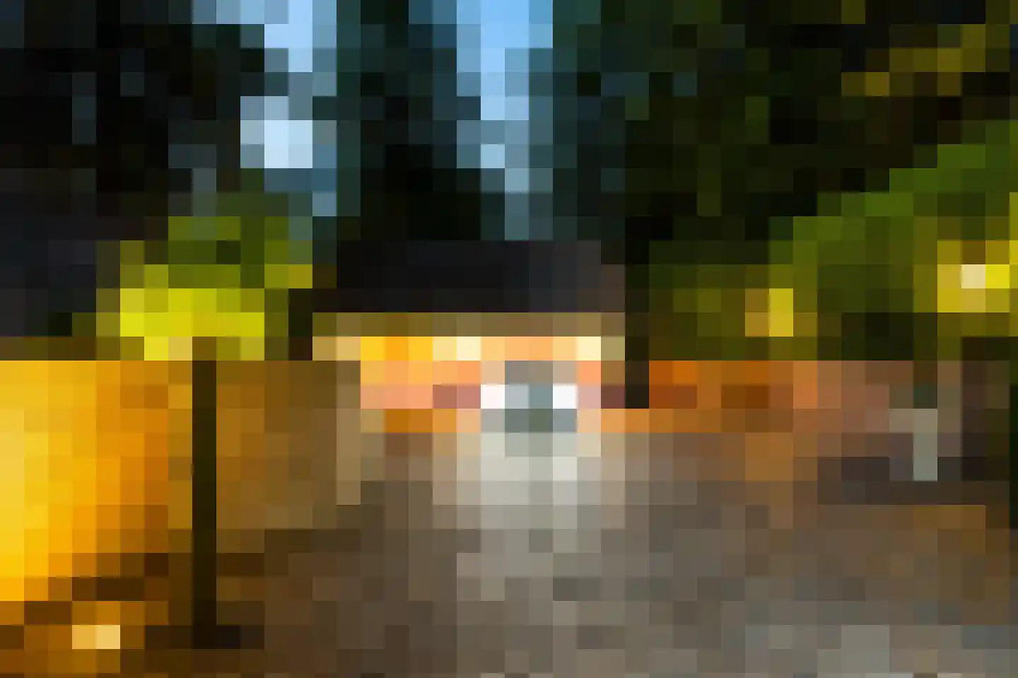Oranje Nassaulaan 6 Blaricum thumbnail 41