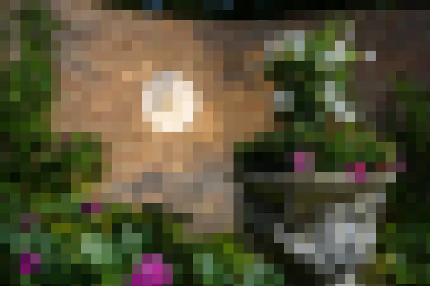 Oranje Nassaulaan 6 Blaricum thumbnail 43