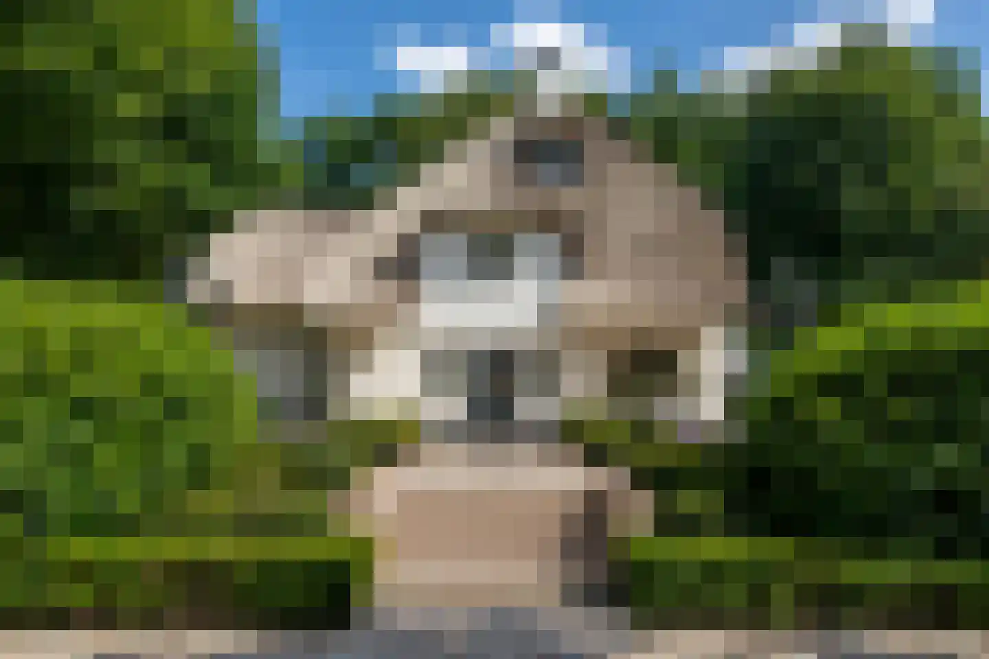 Oranje Nassaulaan 6 Blaricum thumbnail 5