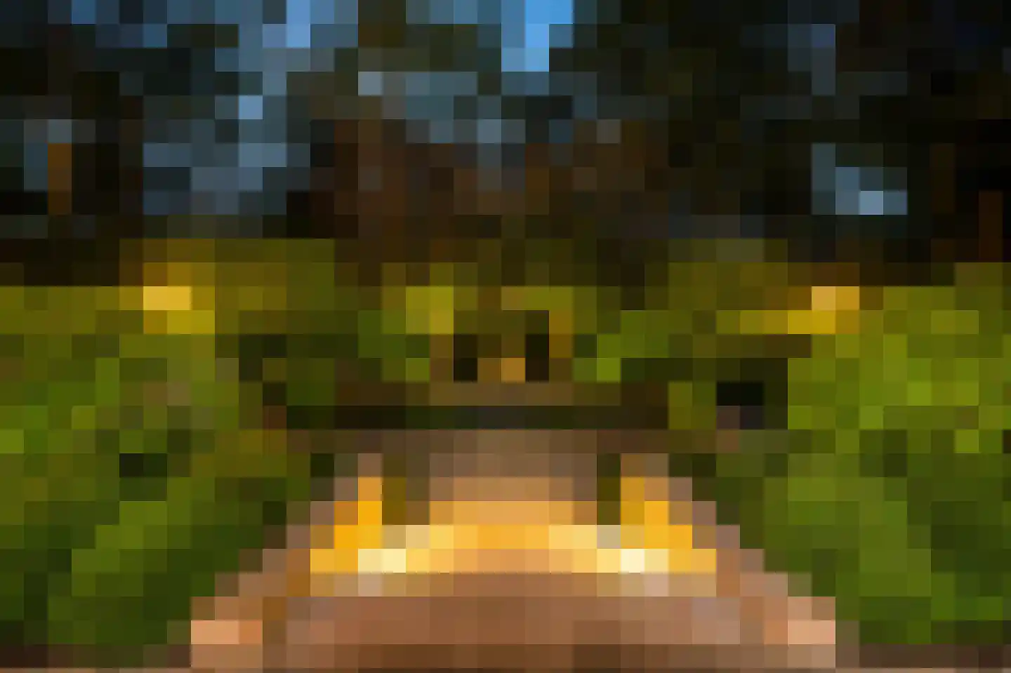 Oranje Nassaulaan 6 Blaricum thumbnail 8