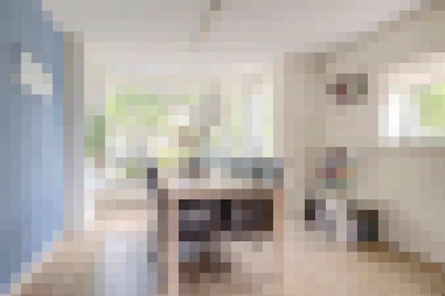 Oranje Nassaulaan 61 Culemborg thumbnail 9