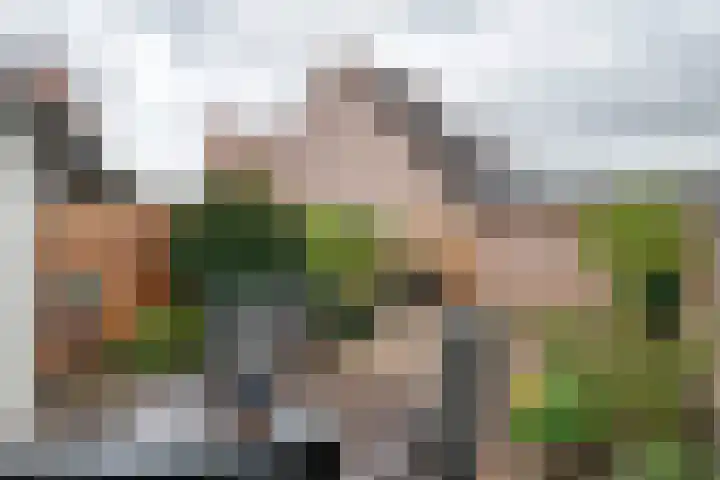 Oranje Nassaulaan 61 Leerdam thumbnail 27