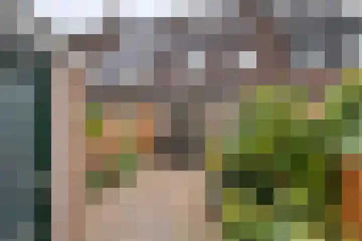 Oranje Nassaulaan 61 Leerdam thumbnail 29