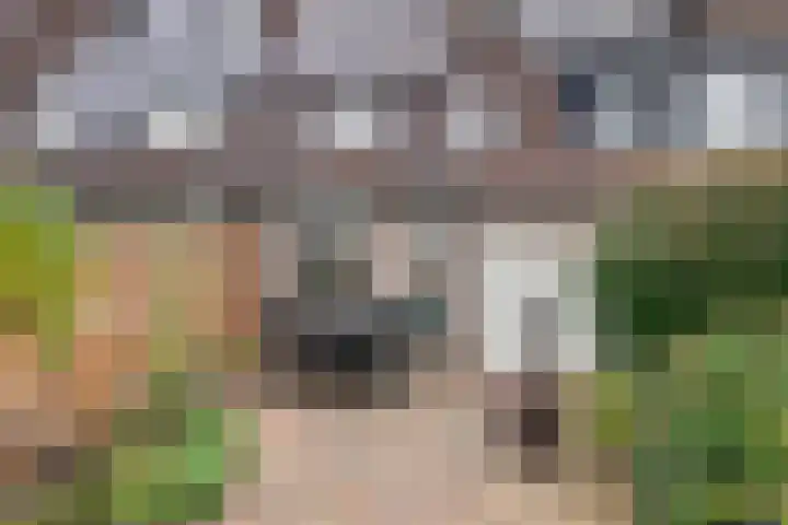 Oranje Nassaulaan 61 Leerdam thumbnail 30