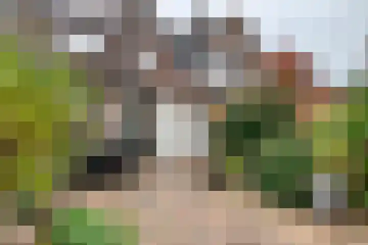 Oranje Nassaulaan 61 Leerdam thumbnail 31