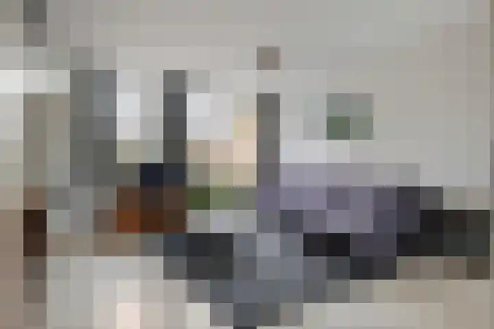 Oranje Nassaulaan 61 Leerdam thumbnail 7