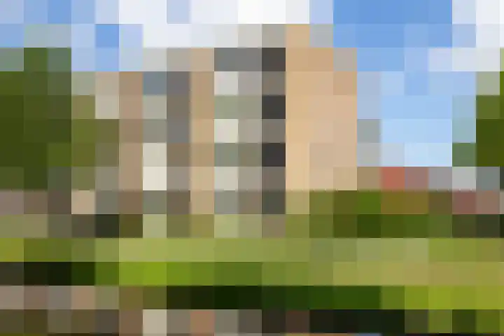 Oranje-Nassaulaan 62 Gouda thumbnail 5
