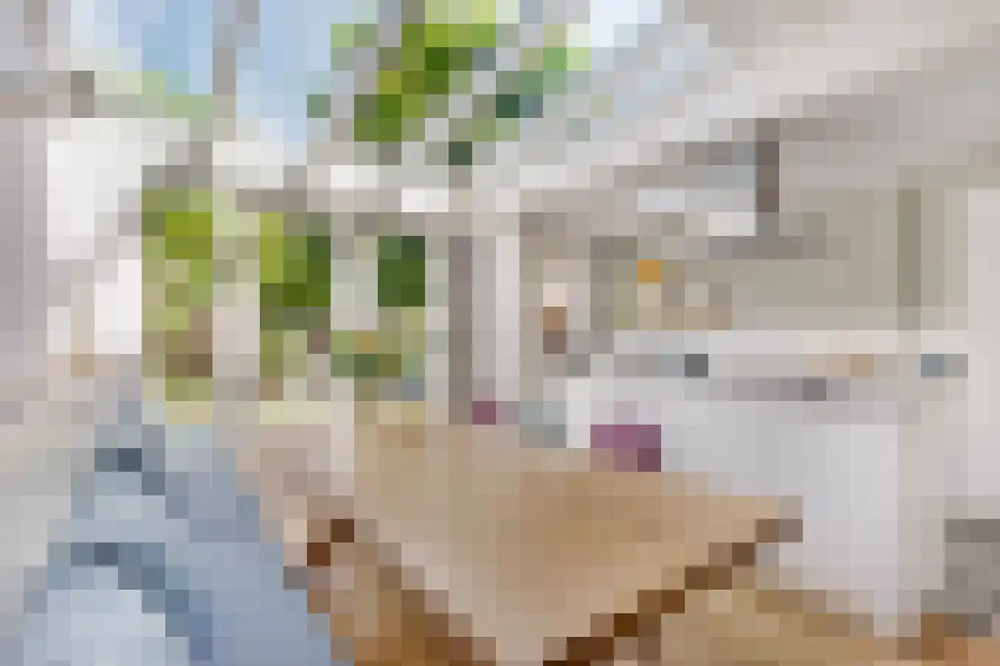 Oranje Nassaulaan 63 Overveen thumbnail 12