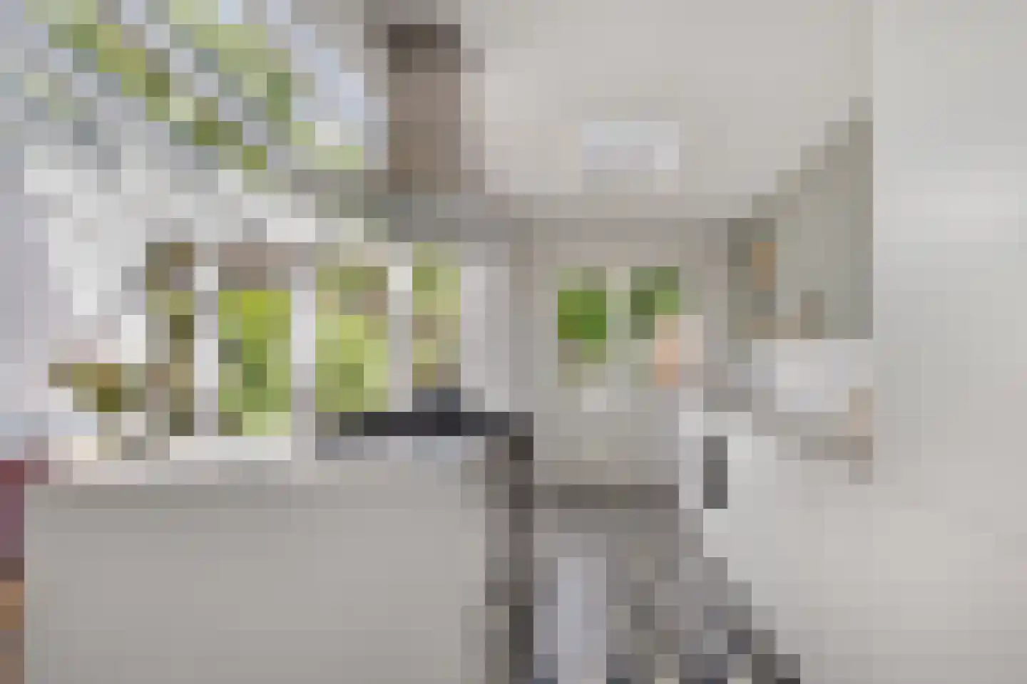 Oranje Nassaulaan 63 Overveen thumbnail 15