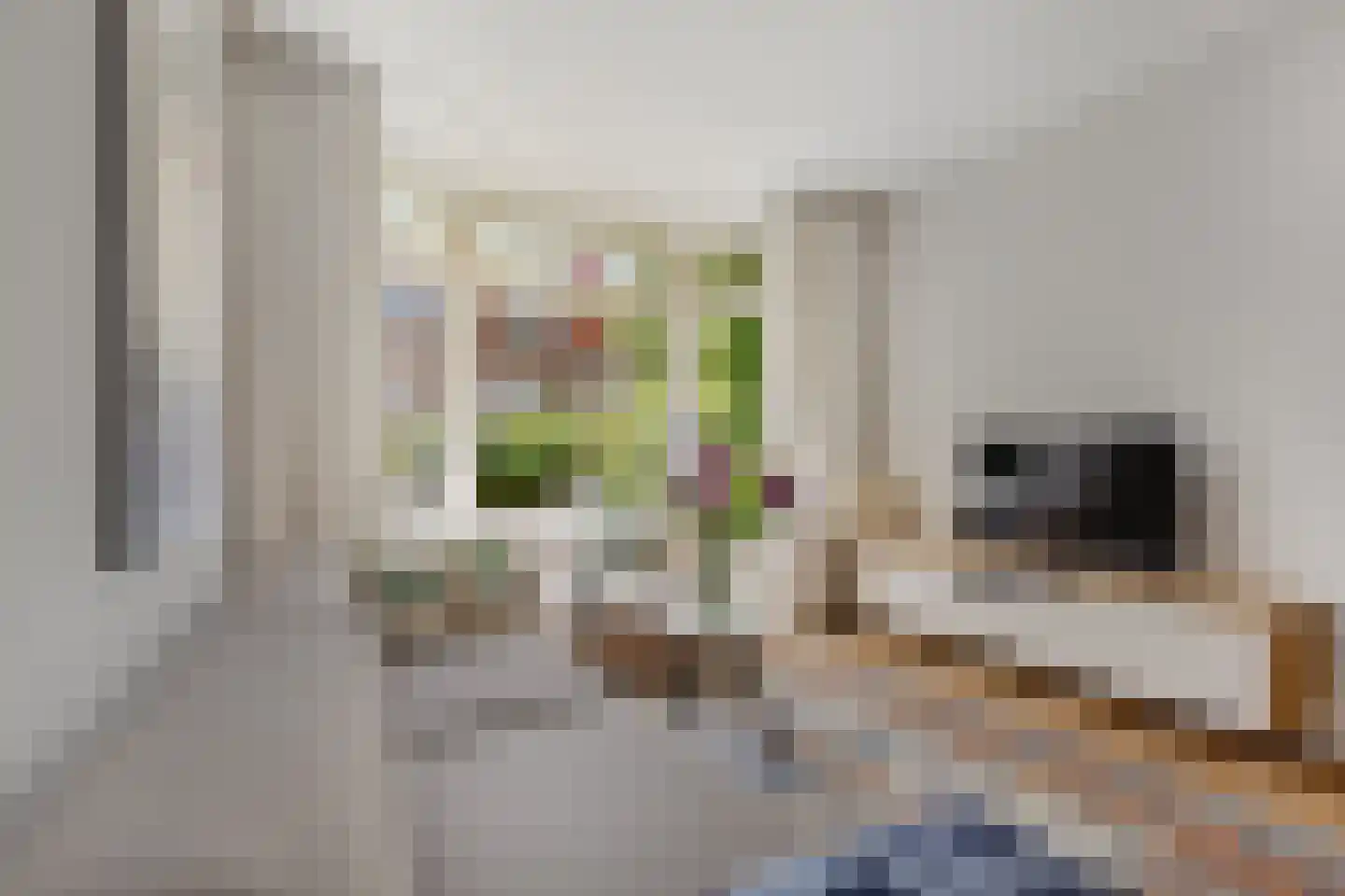 Oranje Nassaulaan 63 Overveen thumbnail 7