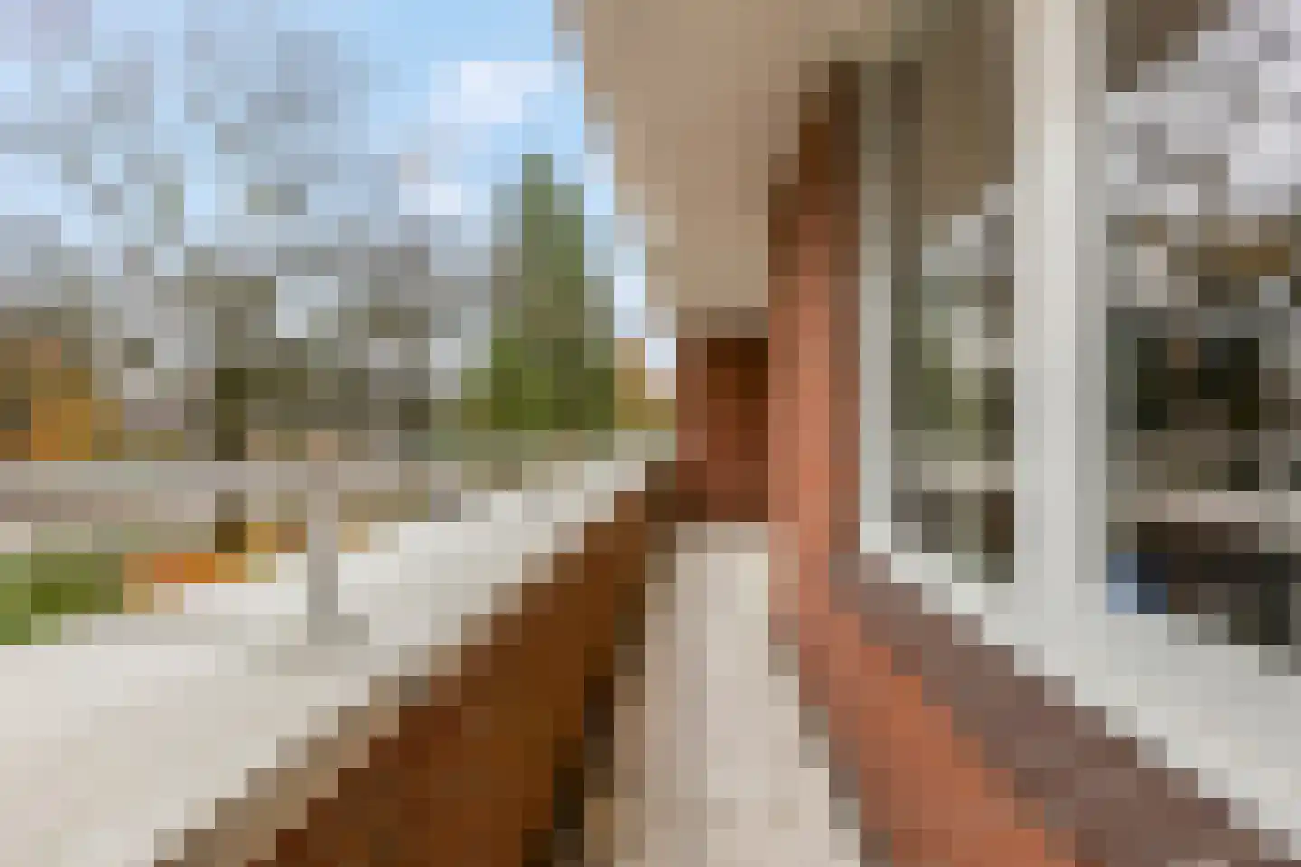 Oranje Nassaulaan 73 Zeist thumbnail 21