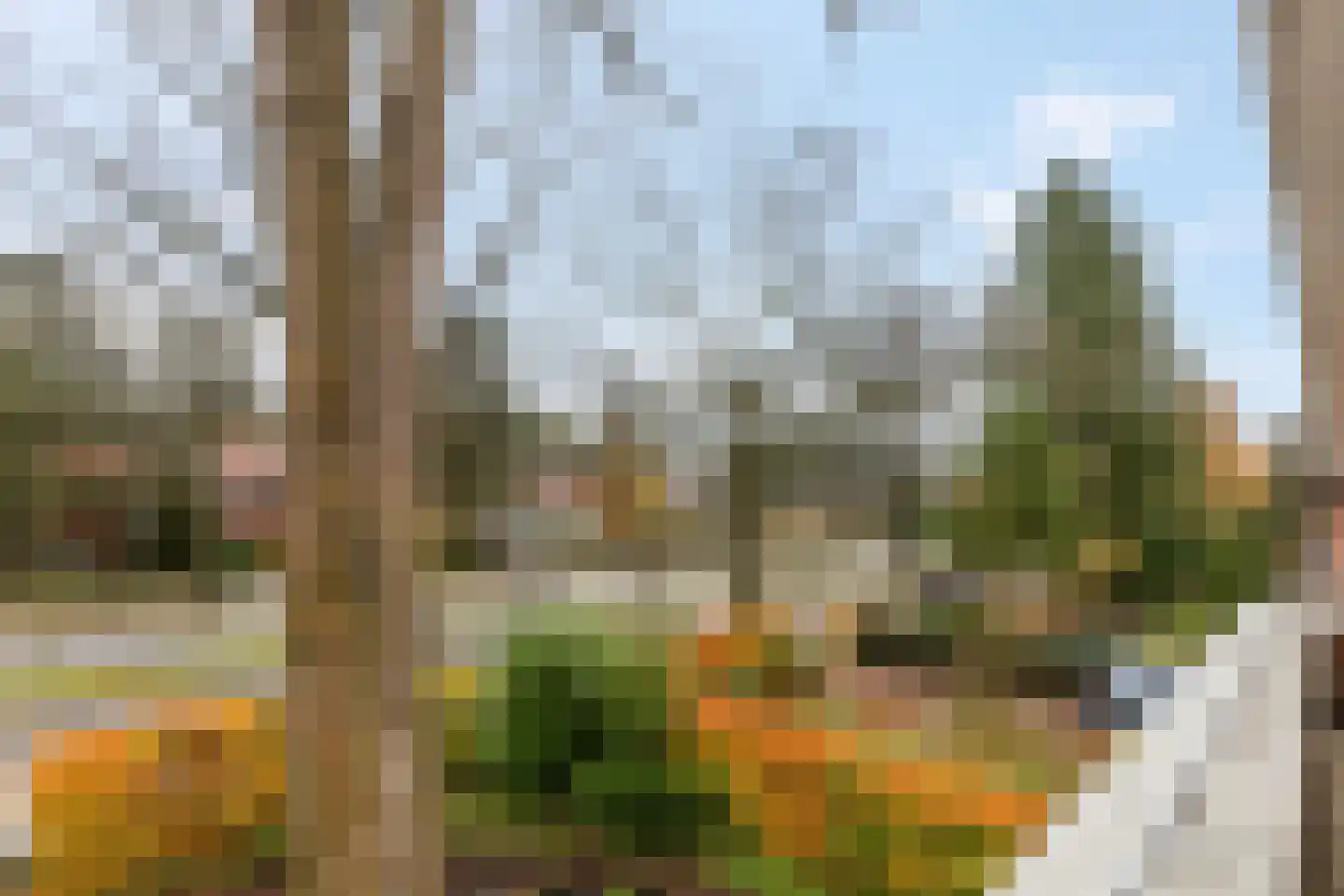 Oranje Nassaulaan 73 Zeist thumbnail 22