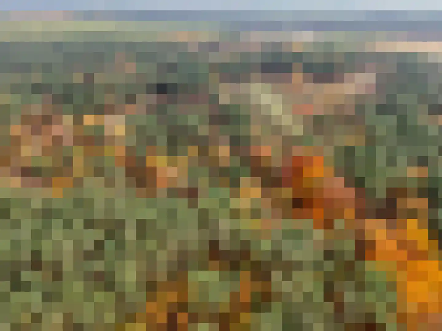 Oranje Nassaulaan 73 Zeist thumbnail 49