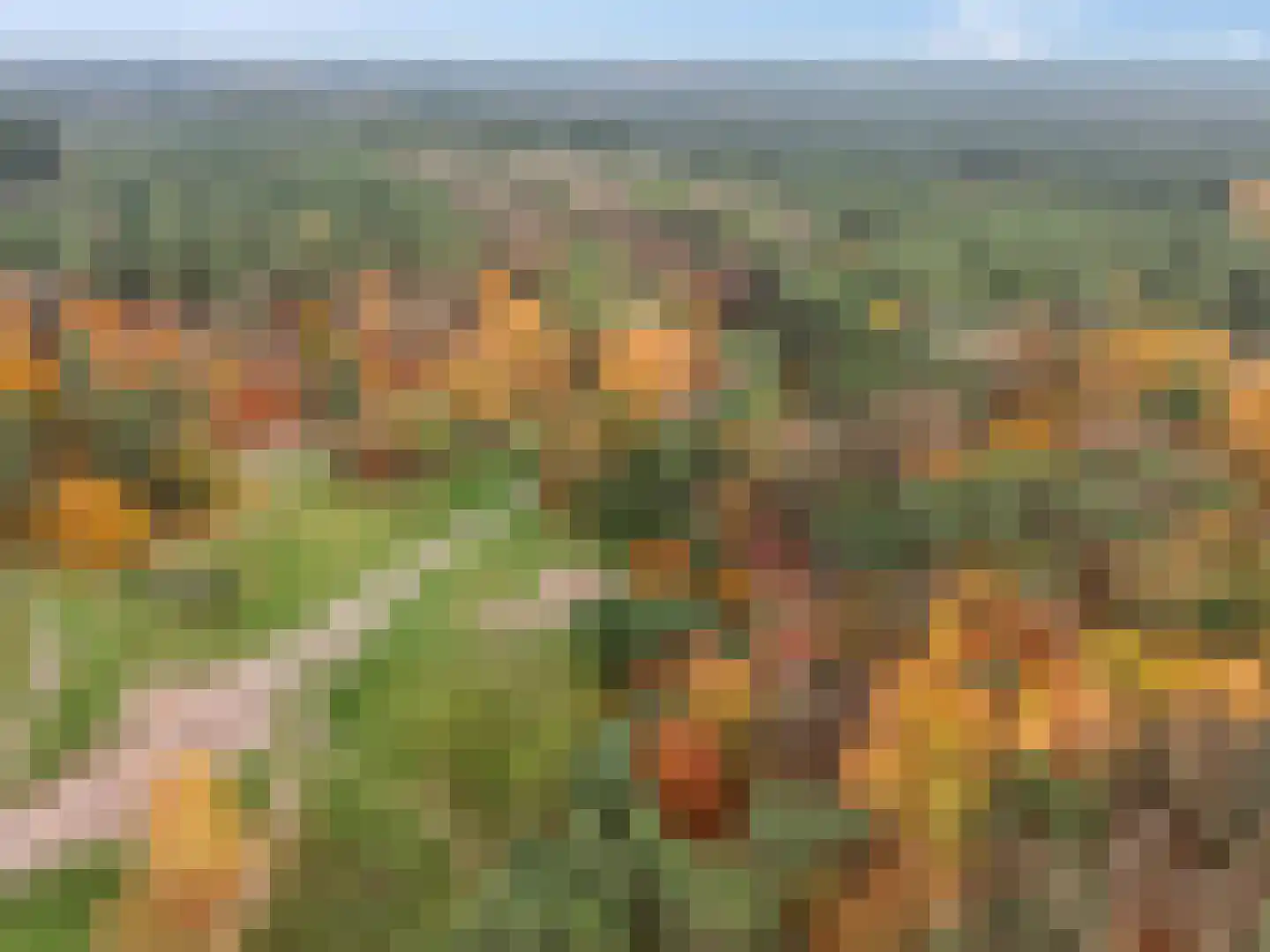 Oranje Nassaulaan 73 Zeist thumbnail 52