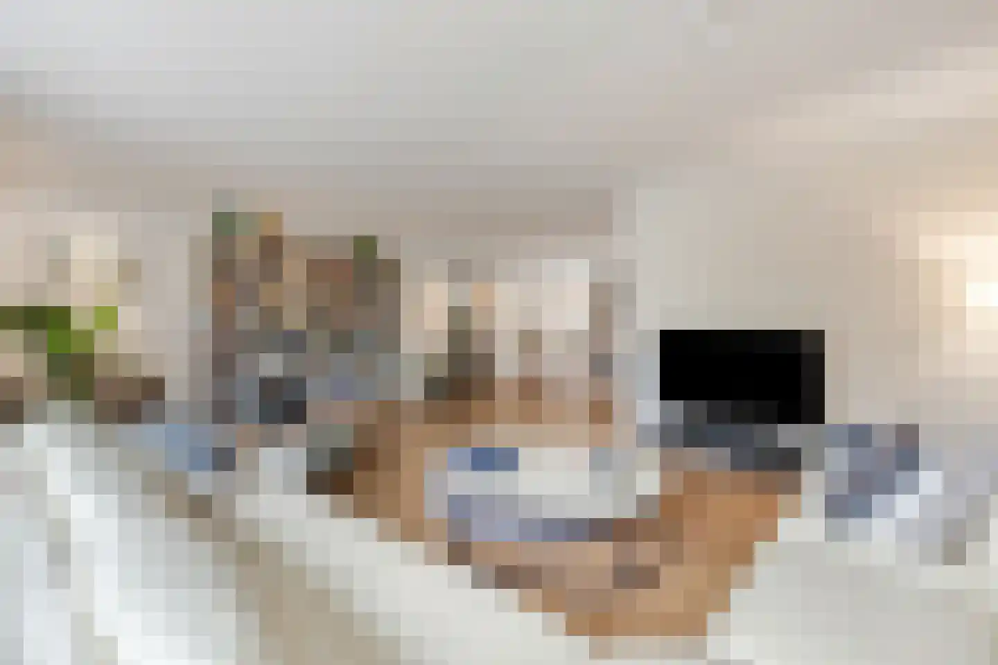 Oranje Nassaulaan 73 Zeist thumbnail 7