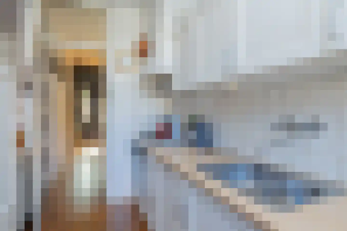 Oranje Nassaulaan 75 Overveen thumbnail 12