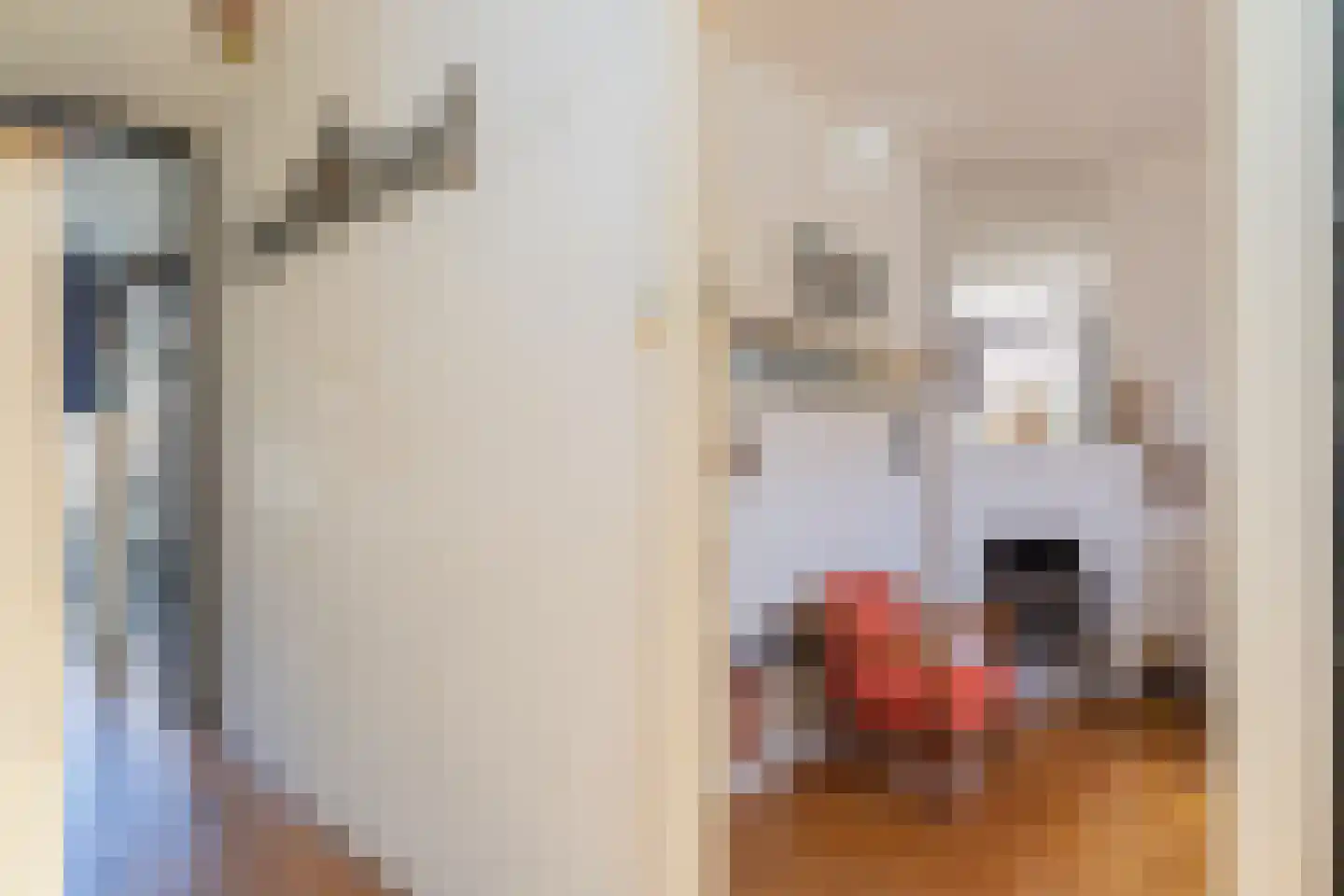 Oranje Nassaulaan 75 Overveen thumbnail 5