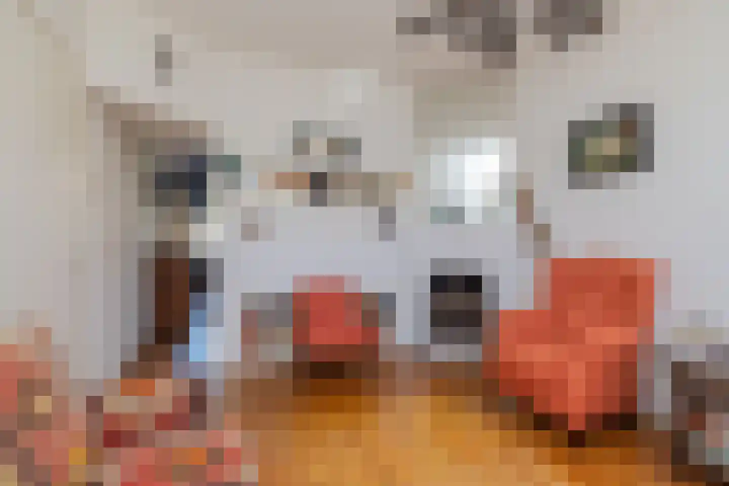 Oranje Nassaulaan 75 Overveen thumbnail 6