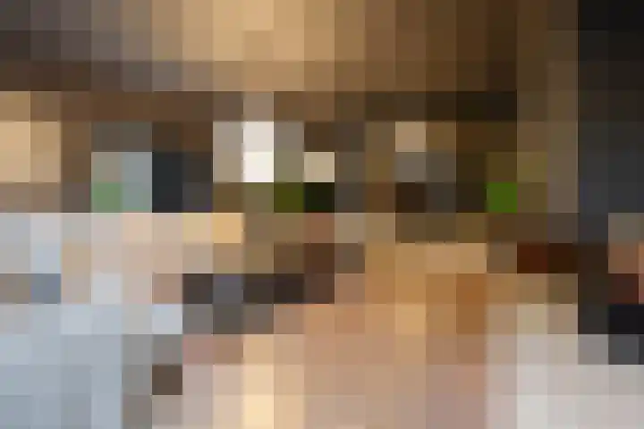 Oranje Nassaulaan 8 Blaricum thumbnail 10