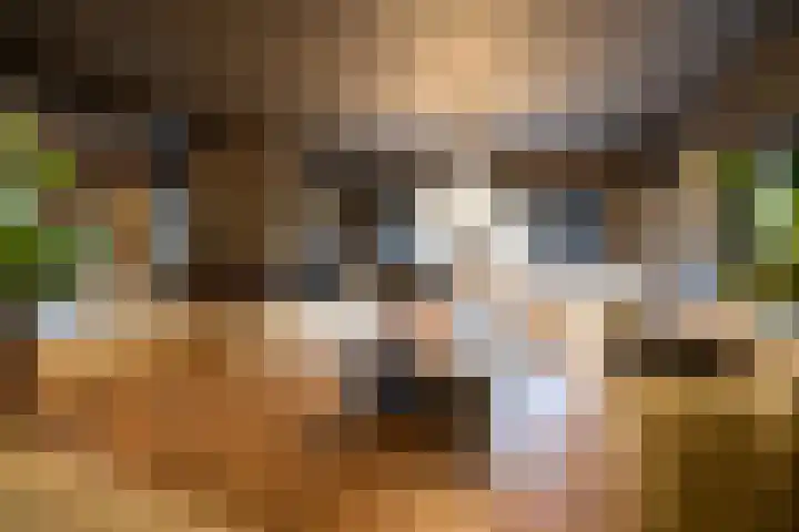 Oranje Nassaulaan 8 Blaricum thumbnail 12
