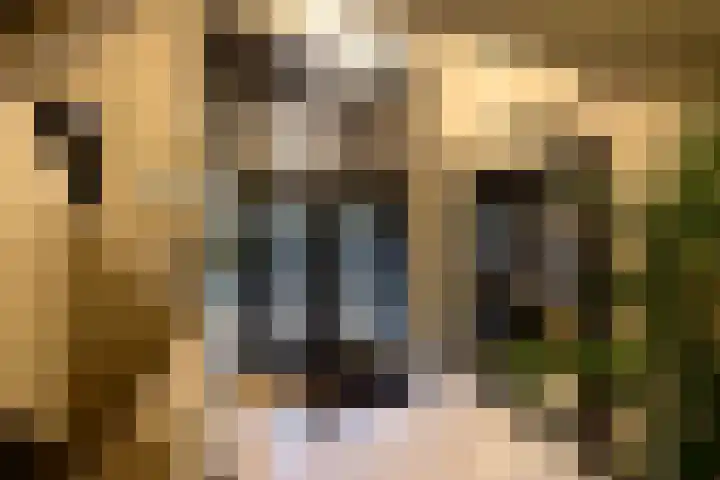 Oranje Nassaulaan 8 Blaricum thumbnail 14