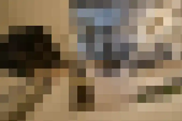 Oranje Nassaulaan 8 Blaricum thumbnail 15