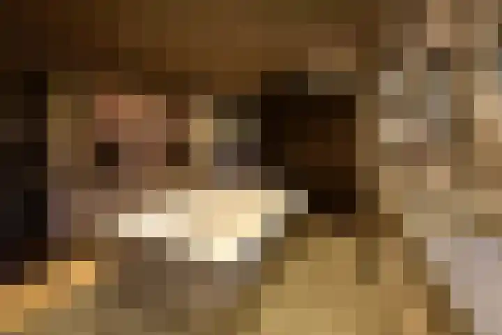 Oranje Nassaulaan 8 Blaricum thumbnail 19