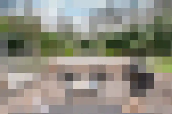 Oranje Nassaulaan 8 Blaricum thumbnail 21