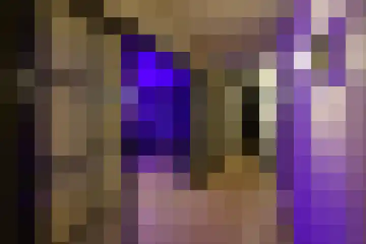 Oranje Nassaulaan 8 Blaricum thumbnail 33
