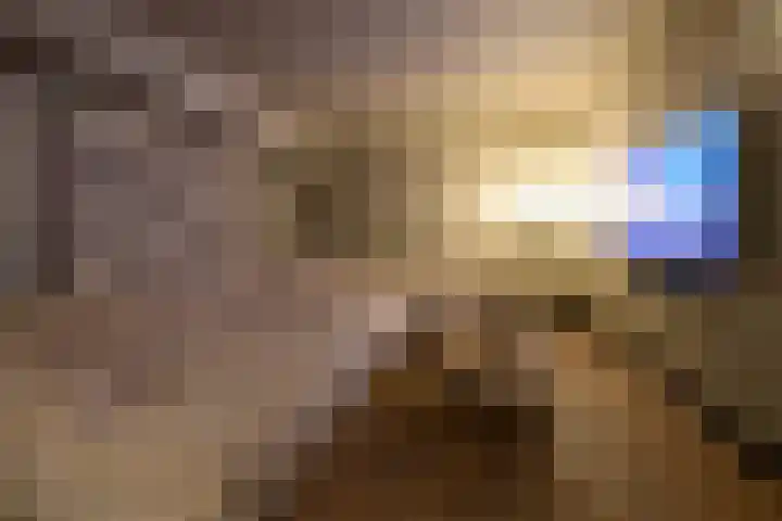 Oranje Nassaulaan 8 Blaricum thumbnail 35