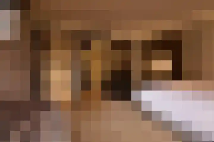 Oranje Nassaulaan 8 Blaricum thumbnail 38