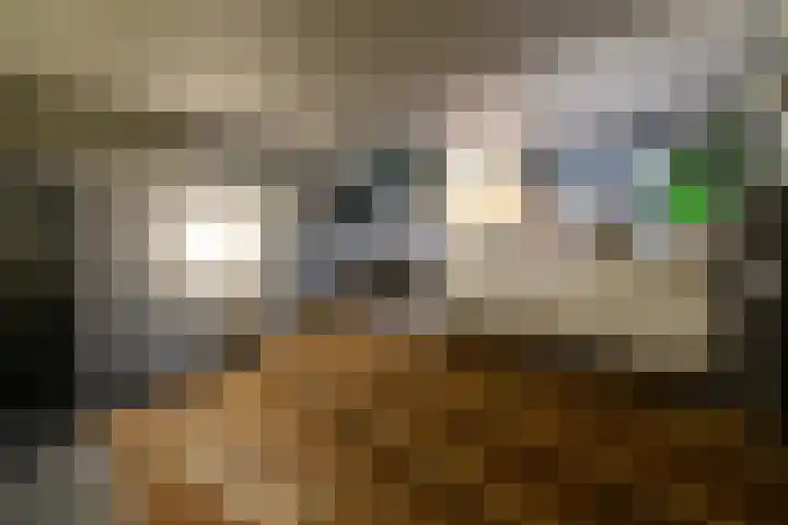 Oranje Nassaulaan 8 Blaricum thumbnail 41