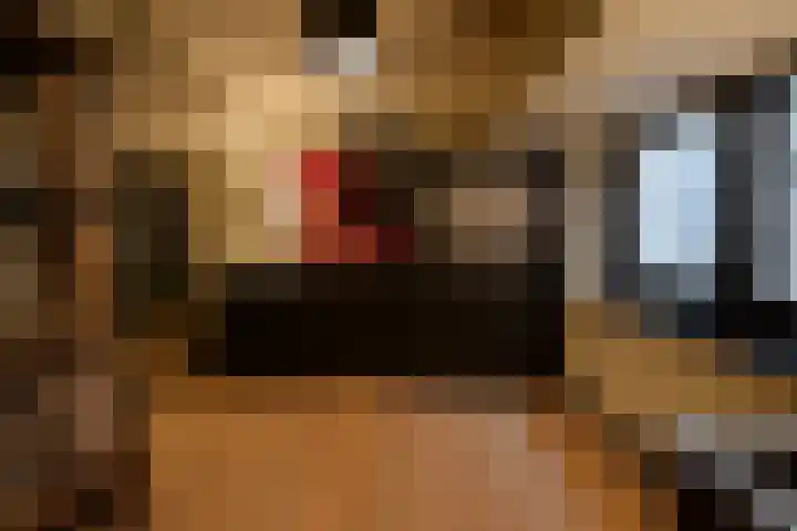 Oranje Nassaulaan 8 Blaricum thumbnail 42